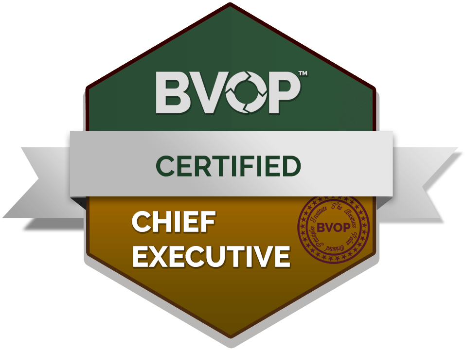 Chief Executive Certification CTO CIO Badge