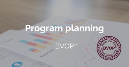 Program and milestones planning in project management